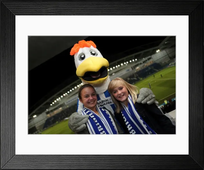 Framed Print : Brighton & Hove Albion's Gully: Connecting with His Adoring Fans Framed Print : Brighton & Hove Albion's Gully: Connecting with His Adoring Fans