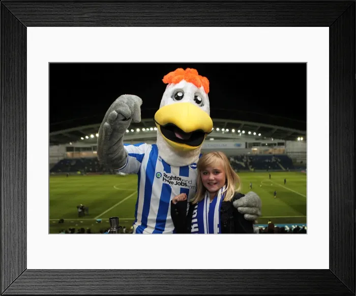Framed Print : Gully of Brighton and Hove Albion: Connecting with His Adoring Fans