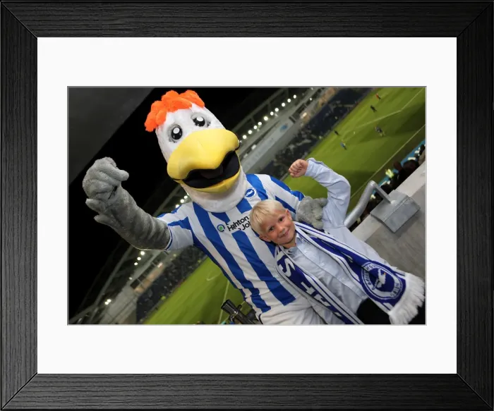 Framed Print : Gully of Brighton and Hove Albion: A Heartwarming Reunion with His Adoring Fans