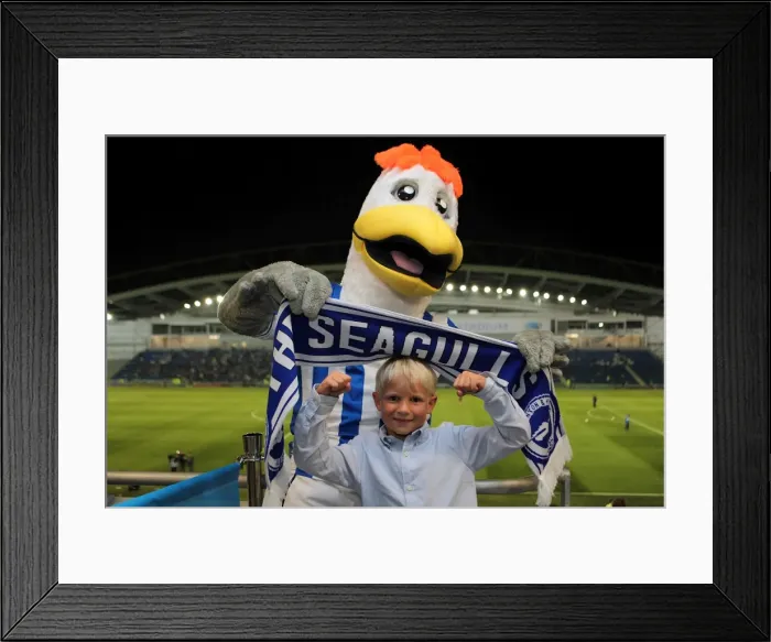 Framed Print : Brighton & Hove Albion's Gully: A Heartfelt Reunion with Passionate Seagulls Fans Framed Print : Brighton & Hove Albion's Gully: A Heartfelt Reunion with Passionate Seagulls Fans