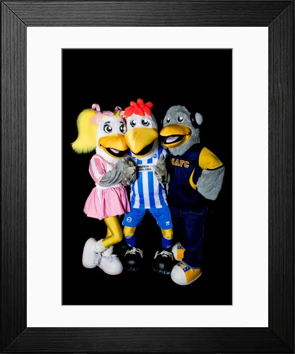 Framed Print : Gully, Sammy, and Sally: Brighton & Hove Albion's Iconic Trio Framed Print : Gully, Sammy, and Sally: Brighton & Hove Albion's Iconic Trio
