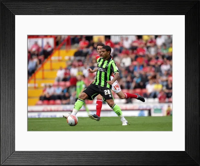 Framed Print : 10-Goal Thriller: Brighton & Hove Albion vs. Bristol City (2011-12 Season) Framed Print : 10-Goal Thriller: Brighton & Hove Albion vs. Bristol City (2011-12 Season)