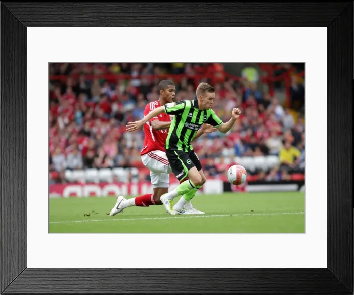 Framed Print : Brighton & Hove Albion vs. Bristol City: A 10-Goal Thriller (Away), 2011-12 Season