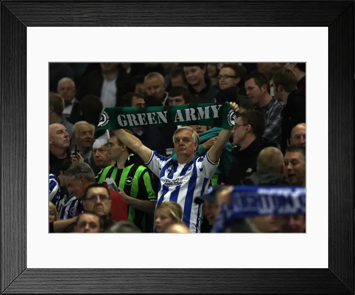 Framed Print : Brighton & Hove Albion Fans Unite: A Sea of Support for Plymouth Argyle at the Amex