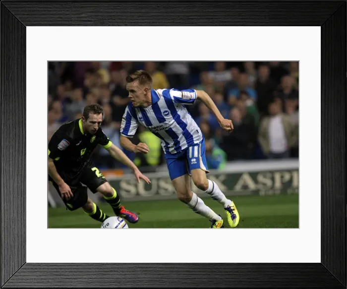 Framed Print : Brighton & Hove Albion vs Leeds United (2011-12 Season: Home Game) Framed Print : Brighton & Hove Albion vs Leeds United (2011-12 Season: Home Game)