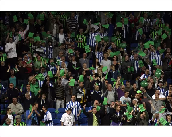 Albion fans show their support for Plymouth Argyle at the Amex