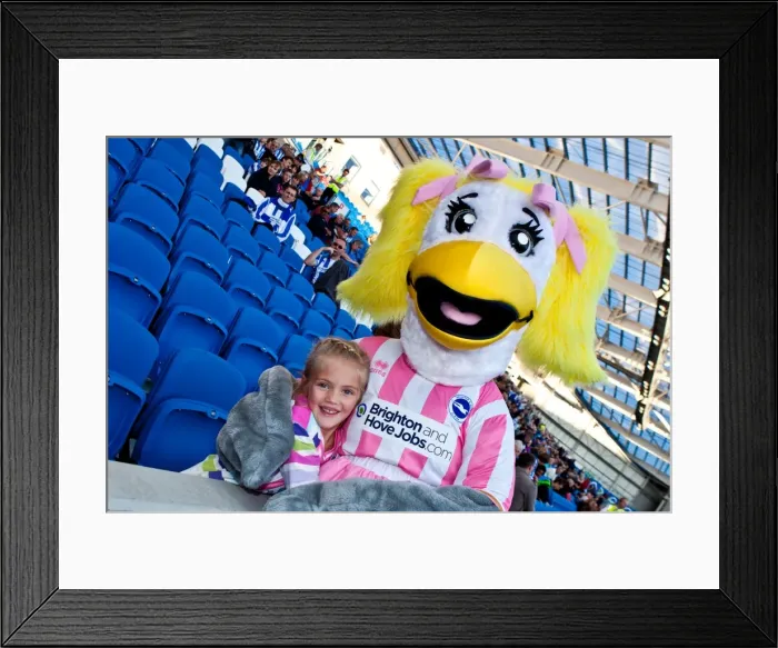 Framed Print : Brighton & Hove Albion FC: Electric Atmosphere at The Amex (2011-12) - Crowd Shots Framed Print : Brighton & Hove Albion FC: Electric Atmosphere at The Amex (2011-12) - Crowd Shots