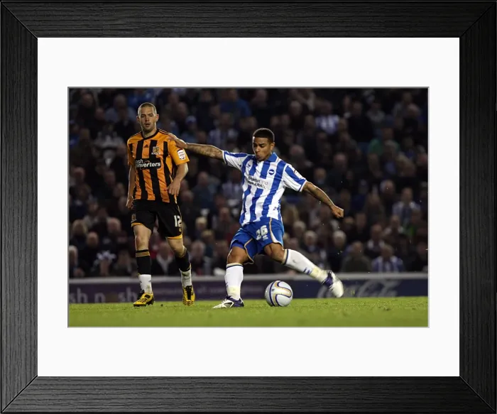 Framed Print : Brighton & Hove Albion vs. Hull City - October 15, 2011 Framed Print : Brighton & Hove Albion vs. Hull City - October 15, 2011