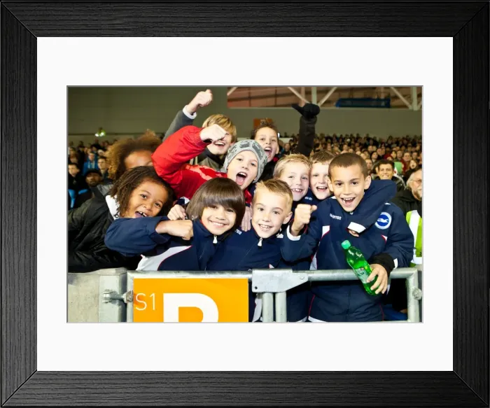 Framed Print : Brighton & Hove Albion FC: Electric Atmosphere at The Amex (2011-12) Framed Print : Brighton & Hove Albion FC: Electric Atmosphere at The Amex (2011-12)