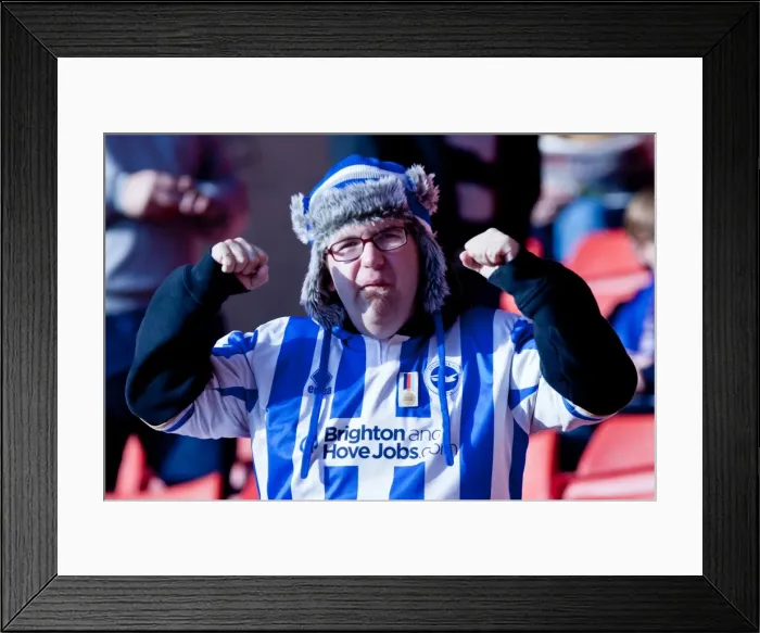 Framed Print : Brighton & Hove Albion Away Days 2011-12: A Sea of Supporters Framed Print : Brighton & Hove Albion Away Days 2011-12: A Sea of Supporters