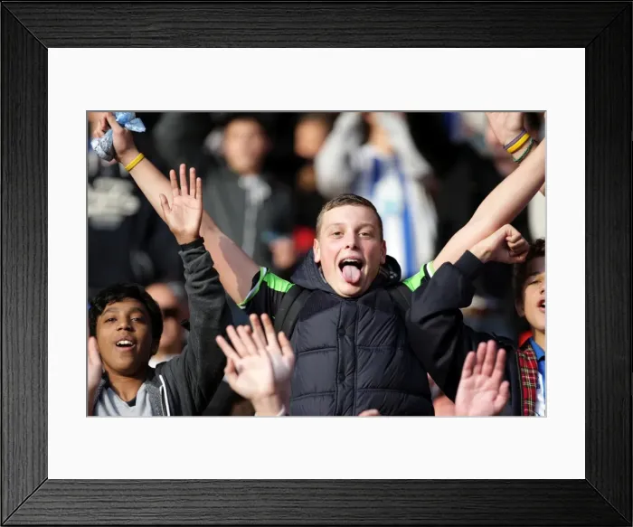 Framed Print : Brighton & Hove Albion Away Days 2011-12: A Sea of Supporters Framed Print : Brighton & Hove Albion Away Days 2011-12: A Sea of Supporters