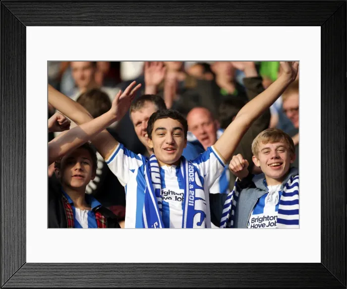 Framed Print : Brighton & Hove Albion Away Days 2011-12: A Sea of Supporters Framed Print : Brighton & Hove Albion Away Days 2011-12: A Sea of Supporters