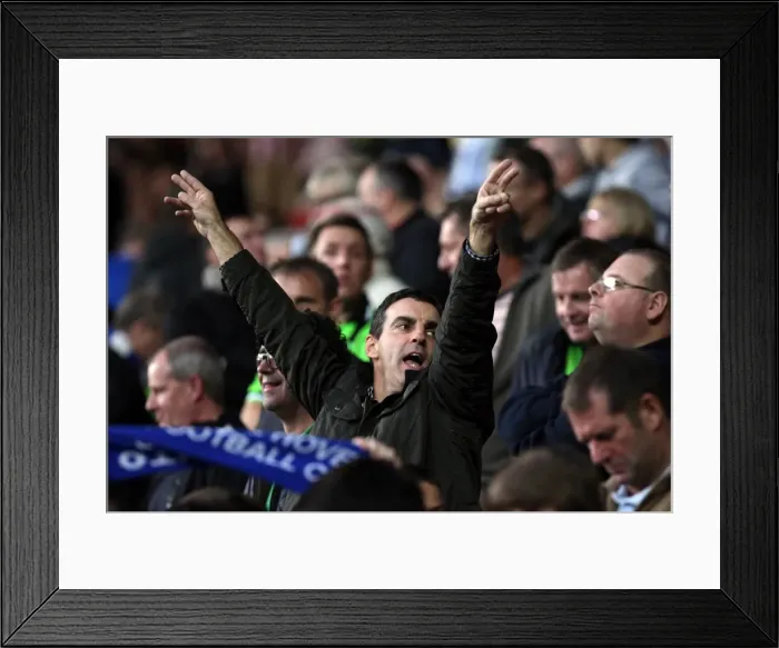 Framed Print : Sea of Supporters: Brighton & Hove Albion Away Games 2011-12 Framed Print : Sea of Supporters: Brighton & Hove Albion Away Games 2011-12
