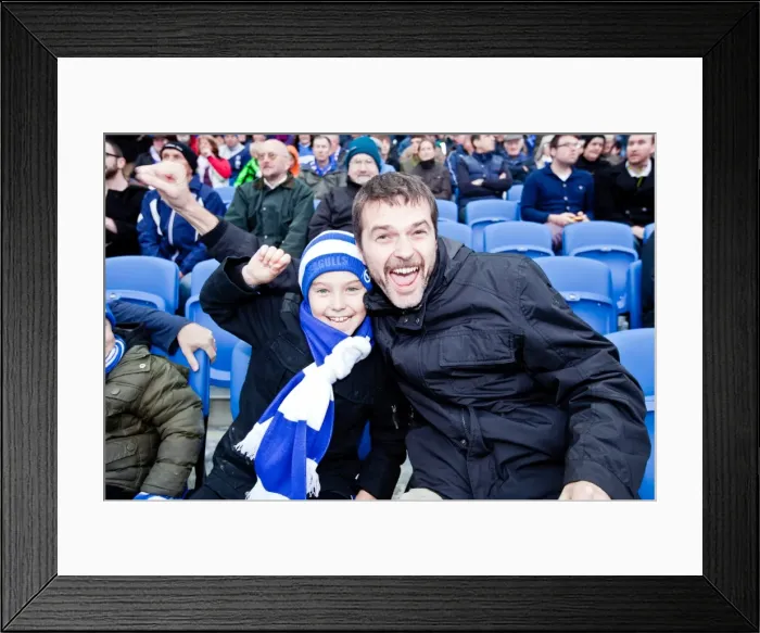 Framed Print : Brighton & Hove Albion FC: Electric Atmosphere at the Amex Stadium (2011-12) - Crowd Shots Framed Print : Brighton & Hove Albion FC: Electric Atmosphere at the Amex Stadium (2011-12) - Crowd Shots
