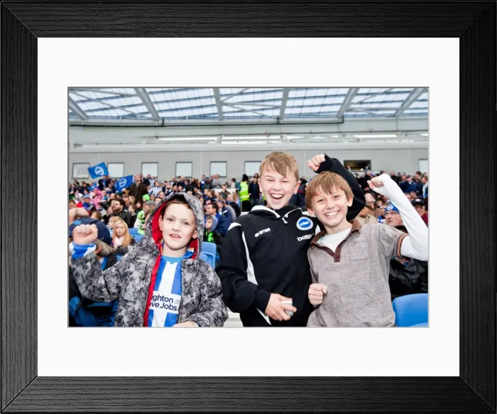 Framed Print : Electric Atmosphere: Unforgettable Crowd Shots from Brighton & Hove Albion's 2011-12 Season at The Amex Stadium Framed Print : Electric Atmosphere: Unforgettable Crowd Shots from Brighton & Hove Albion's 2011-12 Season at The Amex Stadium