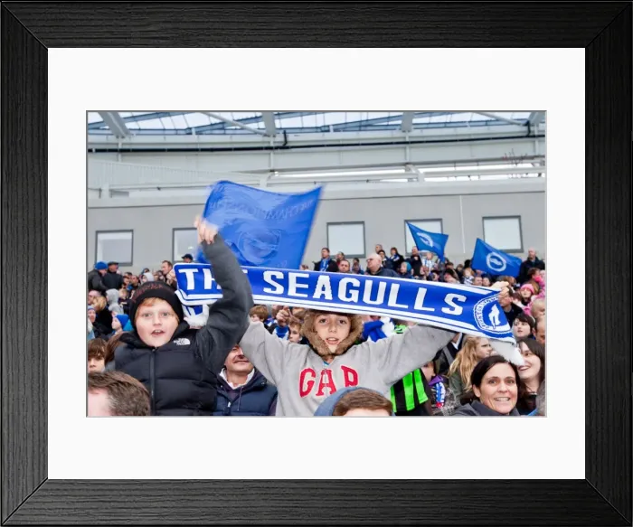 Framed Print : Brighton & Hove Albion FC: Electric Atmosphere at The Amex (2011-12) - Crowd Shots Framed Print : Brighton & Hove Albion FC: Electric Atmosphere at The Amex (2011-12) - Crowd Shots