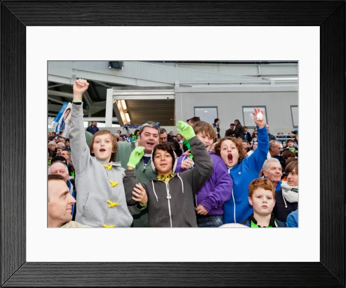 Framed Print : Electric Atmosphere at The Amex: Brighton & Hove Albion FC Crowd Shots (2011-12) Framed Print : Electric Atmosphere at The Amex: Brighton & Hove Albion FC Crowd Shots (2011-12)