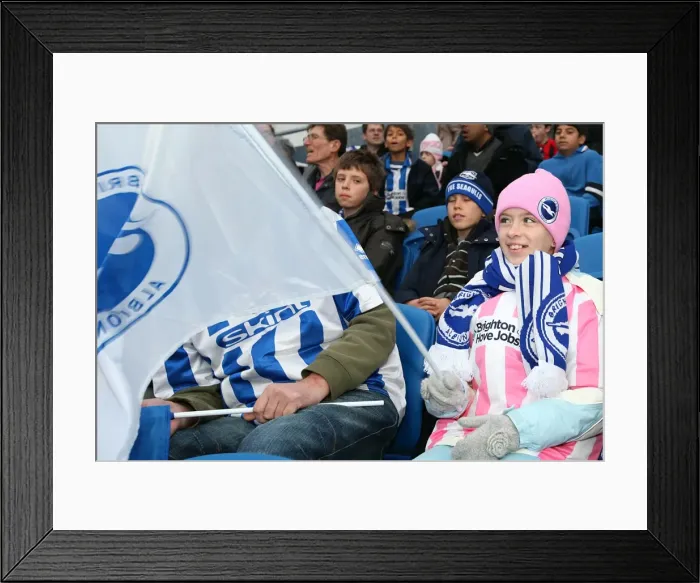 Framed Print : The Electric Atmosphere of Brighton & Hove Albion FC at Amex Stadium (2011-2012): Unforgettable Crowd Moments Framed Print : The Electric Atmosphere of Brighton & Hove Albion FC at Amex Stadium (2011-2012): Unforgettable Crowd Moments