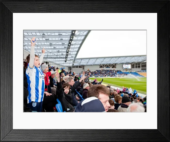 Framed Print : Electric Atmosphere at The Amex: Brighton & Hove Albion FC Crowd Shots (2011-12) Framed Print : Electric Atmosphere at The Amex: Brighton & Hove Albion FC Crowd Shots (2011-12)