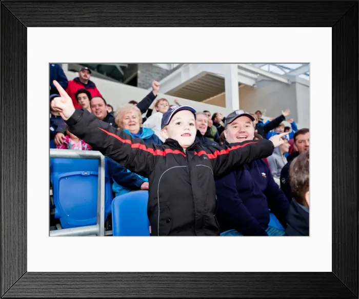 Framed Print : Unforgettable Crowd Moments at Brighton & Hove Albion's Amex Stadium (2011-12) Framed Print : Unforgettable Crowd Moments at Brighton & Hove Albion's Amex Stadium (2011-12)