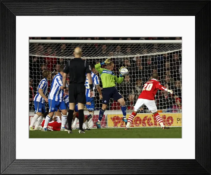 Framed Print : Brighton & Hove Albion vs. Nottingham Forest - 03-12-2011: A Look Back at the 2011-12 Season Home Game Framed Print : Brighton & Hove Albion vs. Nottingham Forest - 03-12-2011: A Look Back at the 2011-12 Season Home Game