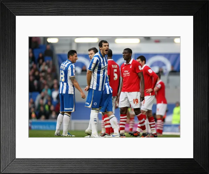 Framed Print : Brighton & Hove Albion: Nostalgic Review of the 2011-12 Home Game Against Nottingham Forest (3-12-2011) Framed Print : Brighton & Hove Albion: Nostalgic Review of the 2011-12 Home Game Against Nottingham Forest (3-12-2011)