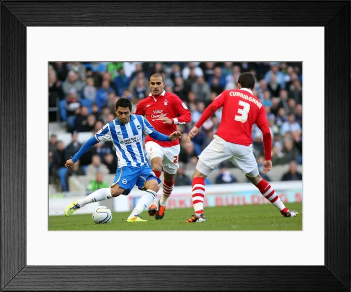 Framed Print : Brighton & Hove Albion vs. Nottingham Forest (2011-12): A Glimpse into the Past - Home Game Framed Print : Brighton & Hove Albion vs. Nottingham Forest (2011-12): A Glimpse into the Past - Home Game