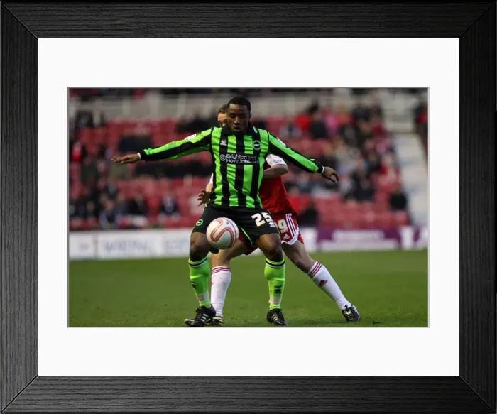 Framed Print : Brighton & Hove Albion vs Middlesbrough: 10-12-2011 (Away) Framed Print : Brighton & Hove Albion vs Middlesbrough: 10-12-2011 (Away)