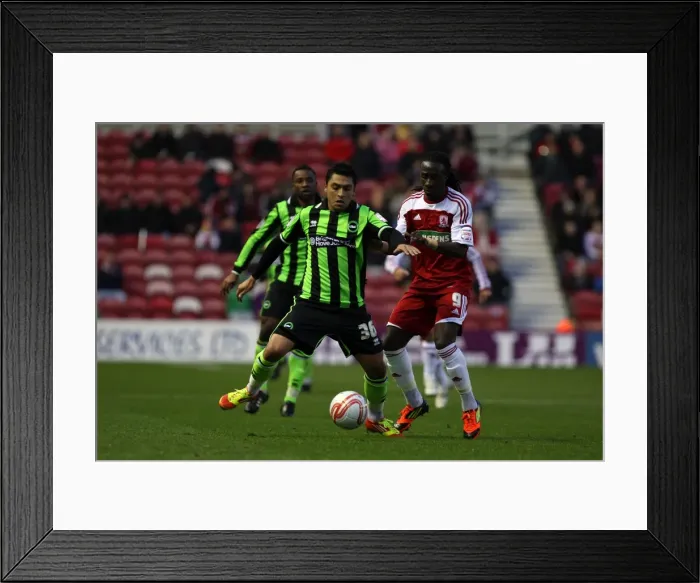 Framed Print : Brighton & Hove Albion vs Middlesbrough: 2011-12 Away Game Framed Print : Brighton & Hove Albion vs Middlesbrough: 2011-12 Away Game