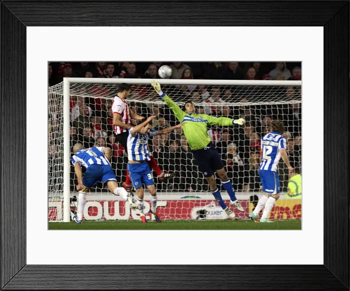 Framed Print : Brighton & Hove Albion vs. Southampton (02-01-12): A Look Back at the 2011-12 Season Home Game Framed Print : Brighton & Hove Albion vs. Southampton (02-01-12): A Look Back at the 2011-12 Season Home Game