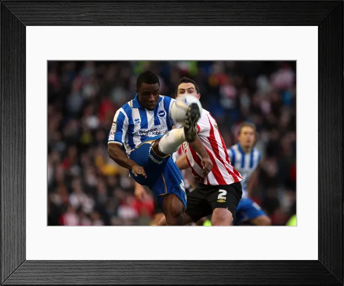 Framed Print : Brighton & Hove Albion vs Southampton (02-01-12): A Look Back at Our 2011-12 Home Season - Southampton Match Framed Print : Brighton & Hove Albion vs Southampton (02-01-12): A Look Back at Our 2011-12 Home Season - Southampton Match