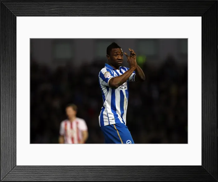 Framed Print : Brighton & Hove Albion vs Southampton (02-01-12): A Glance at Our 2011-12 Home Season Framed Print : Brighton & Hove Albion vs Southampton (02-01-12): A Glance at Our 2011-12 Home Season