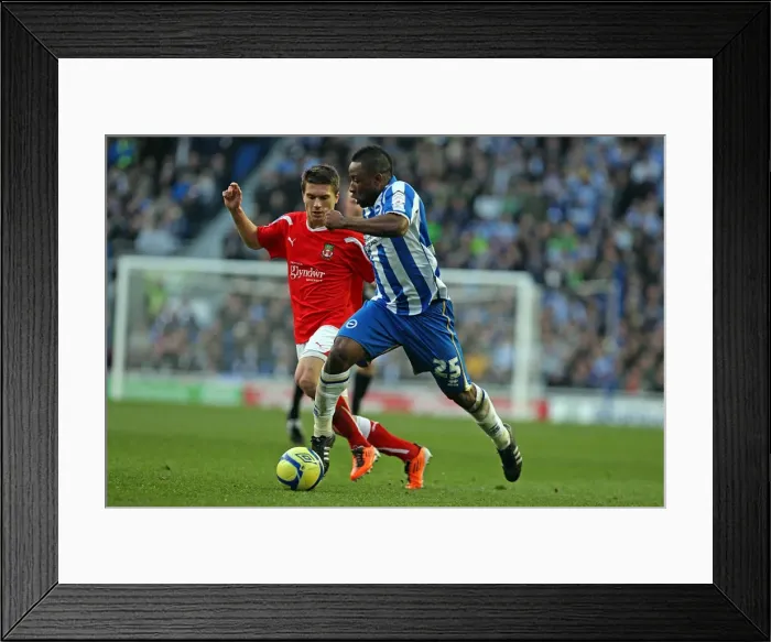 Framed Print : Brighton & Hove Albion vs. Wrexham: FA Cup Clash, 7th January 2011 (Home Game) Framed Print : Brighton & Hove Albion vs. Wrexham: FA Cup Clash, 7th January 2011 (Home Game)