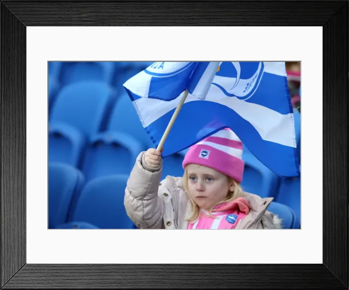 Framed Print : Flashback to the 2011-12 Season: Brighton & Hove Albion vs. Wrexham (FA Cup)