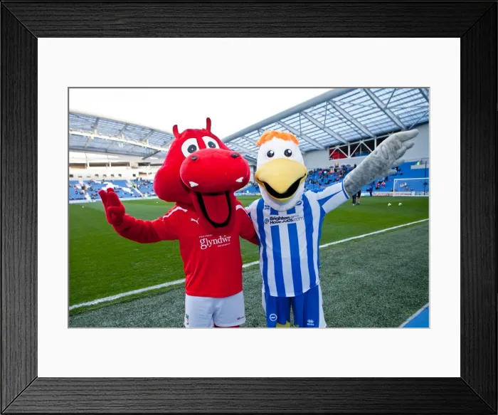 Framed Print : Nostalgic Look Back: Brighton & Hove Albion vs. Wrexham (FA Cup, 2011-12) - A Journey Down Memory Lane Framed Print : Nostalgic Look Back: Brighton & Hove Albion vs. Wrexham (FA Cup, 2011-12) - A Journey Down Memory Lane