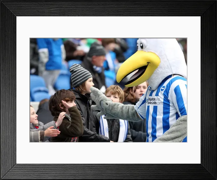 Framed Print : Brighton & Hove Albion vs. Bristol City (2011-12): A Home Game Review - January 16, 2012 Framed Print : Brighton & Hove Albion vs. Bristol City (2011-12): A Home Game Review - January 16, 2012
