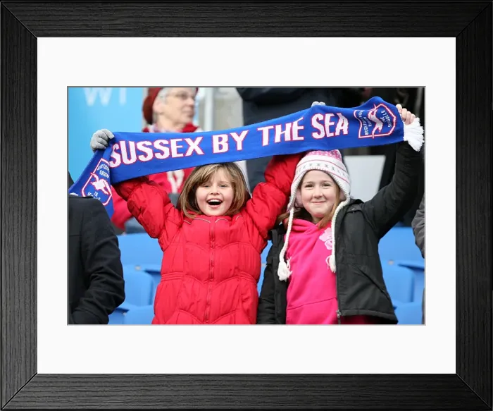 Framed Print : Brighton & Hove Albion vs. Bristol City (16-01-2012): A Glance at the 2011-12 Home Season
