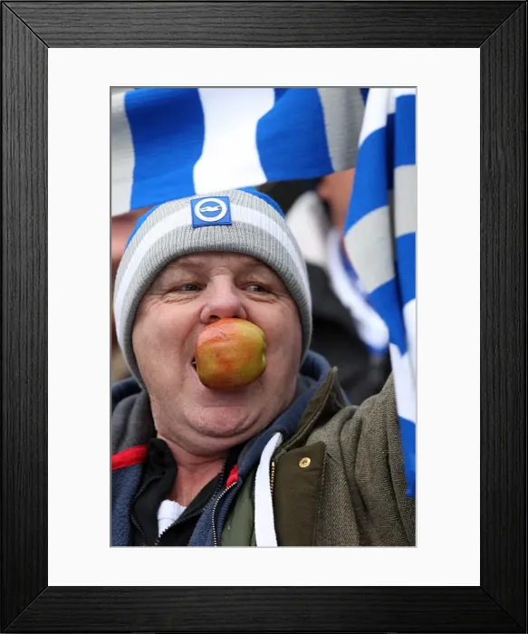 Framed Print : Brighton & Hove Albion vs. Bristol City (16-01-2012) - A Peek into the 2011-12 Home Season Framed Print : Brighton & Hove Albion vs. Bristol City (16-01-2012) - A Peek into the 2011-12 Home Season