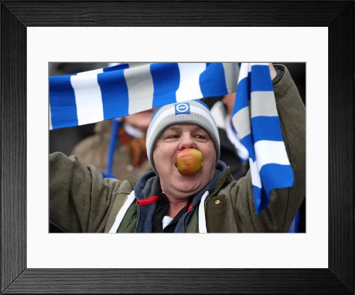 Framed Print : A Victorious Home Game: Brighton & Hove Albion vs. Bristol City (2011-12) Framed Print : A Victorious Home Game: Brighton & Hove Albion vs. Bristol City (2011-12)