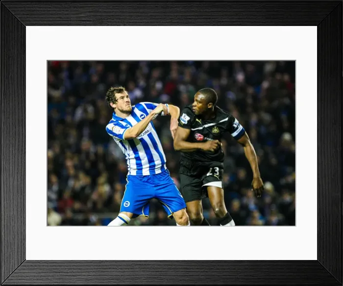 Framed Print : Brighton & Hove Albion vs. Newcastle United (FAC), January 28, 2012 Framed Print : Brighton & Hove Albion vs. Newcastle United (FAC), January 28, 2012