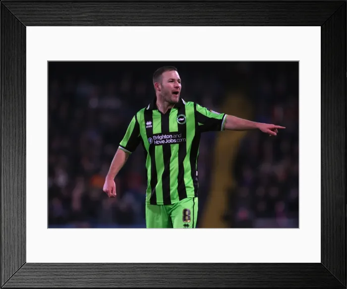 Framed Print : Brighton & Hove Albion vs. Crystal Palace: Away Game - January 31, 2012 (Crystal Palace)