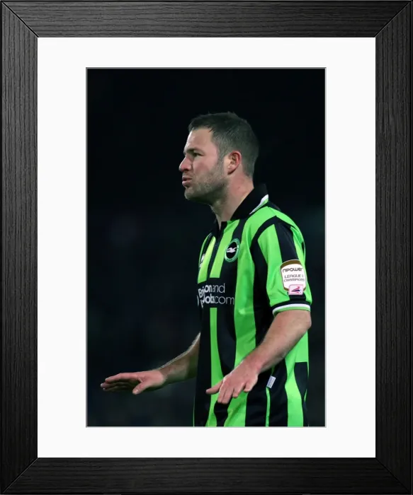 Framed Print : Brighton & Hove Albion vs. Crystal Palace: Away Game - January 31, 2012