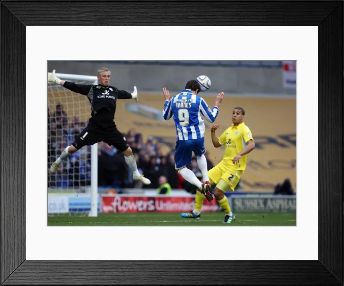 Framed Print : Brighton & Hove Albion vs. Leicester City (04-02-12): A Glance at Our 2011-12 Home Season Framed Print : Brighton & Hove Albion vs. Leicester City (04-02-12): A Glance at Our 2011-12 Home Season