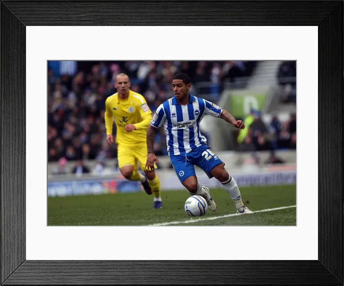 Framed Print : Brighton & Hove Albion vs. Leicester City (04-02-12): A Glimpse into Our 2011-12 Home Season