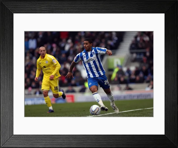 Framed Print : Brighton & Hove Albion vs. Leicester City (4-2-12): A Look Back at the 2011-12 Season Home Game Framed Print : Brighton & Hove Albion vs. Leicester City (4-2-12): A Look Back at the 2011-12 Season Home Game