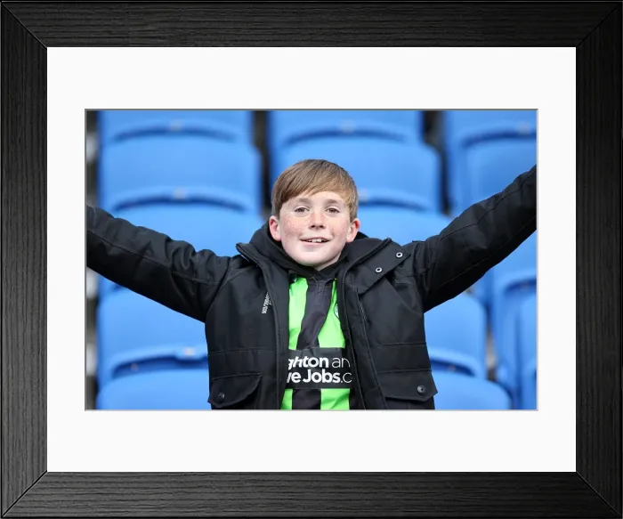 Framed Print : Brighton & Hove Albion vs. Leicester City (04-02-12): A Nostalgic Look Back at the 2011-12 Home Season - Leicester City Match Framed Print : Brighton & Hove Albion vs. Leicester City (04-02-12): A Nostalgic Look Back at the 2011-12 Home Season - Leicester City Match