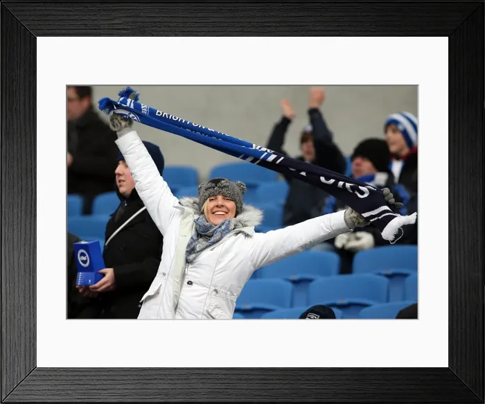 Framed Print : Brighton & Hove Albion: 2011-12 Season - Thrilling Home Game: Leicester City (4-2-12) (4-2 Win) Framed Print : Brighton & Hove Albion: 2011-12 Season - Thrilling Home Game: Leicester City (4-2-12) (4-2 Win)