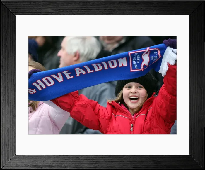 Framed Print : Brighton & Hove Albion vs. Leicester City (04-02-12): A Glimpse into the 2011-12 Home Season