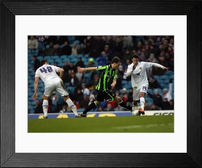 Framed Print : Brighton & Hove Albion vs. Leeds United: 2011-12 Season Away Game Highlights Framed Print : Brighton & Hove Albion vs. Leeds United: 2011-12 Season Away Game Highlights
