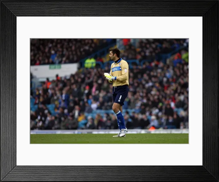 Framed Print : Brighton & Hove Albion vs. Leeds United: 2011-12 Away Game Highlights
